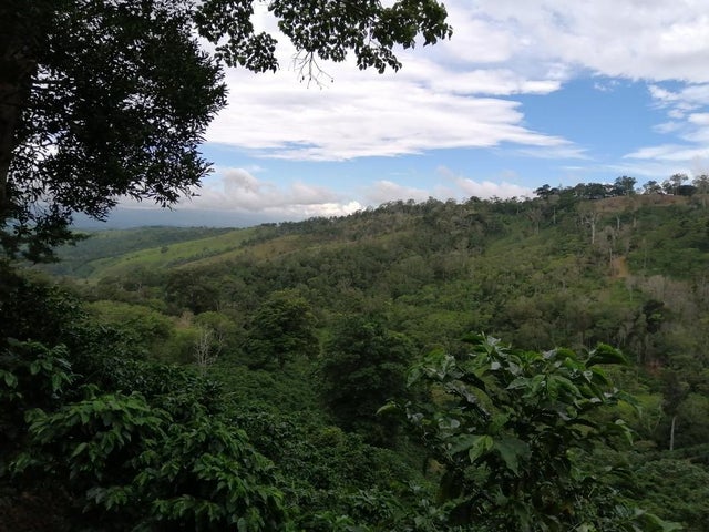 Land for Sale in Santa Clara 093/083 Chiriqui 04051